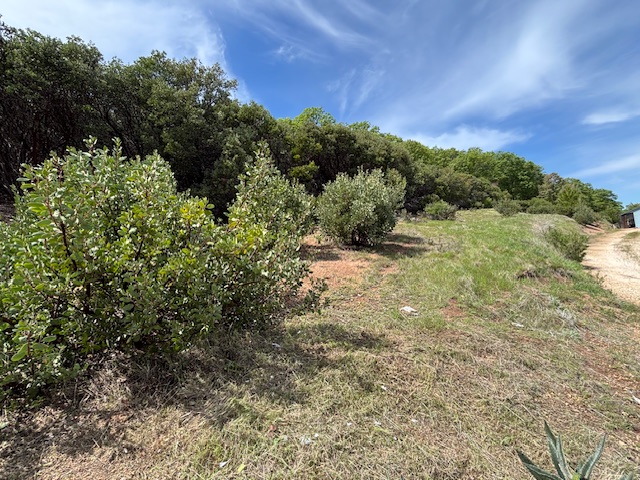 Land Clearing & Vegetation Management