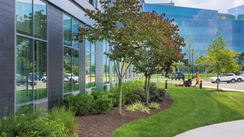 Landscaping Advice for Property Managers: How to Protect and Enhance Your California Investment Properties